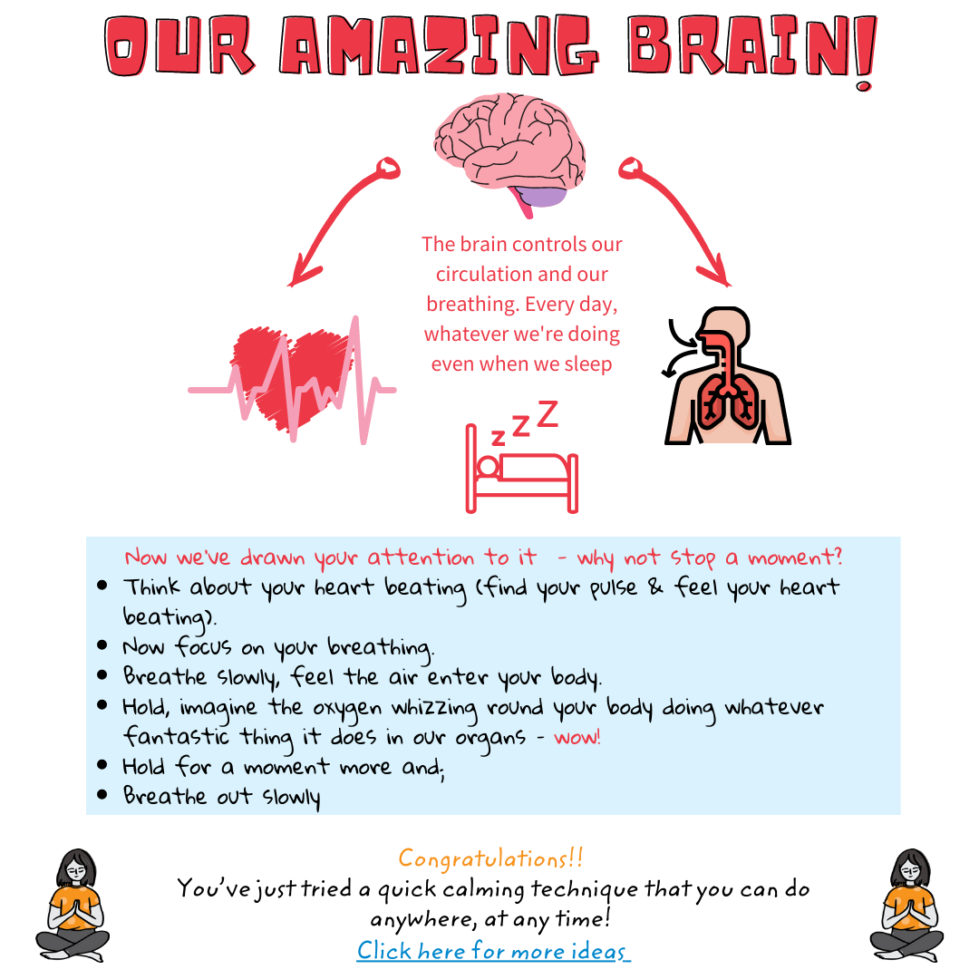 our amazing brain 